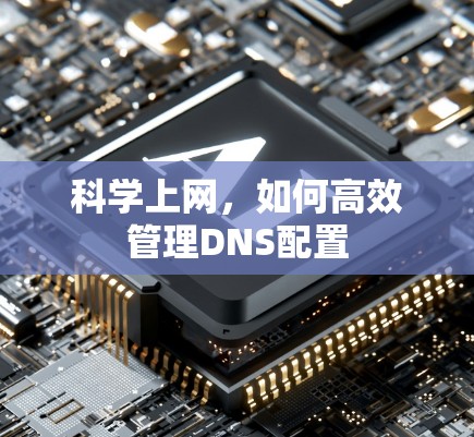 科学上网，如何高效管理DNS配置