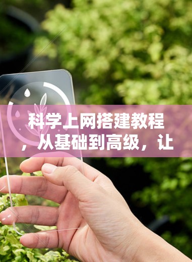 科学上网搭建教程，从基础到高级，让你的网络环境更加高效与安全