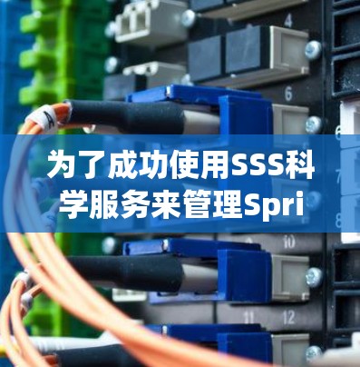 为了成功使用SSS科学服务来管理Spring Boot代码和资源，可以按照以下步骤进行