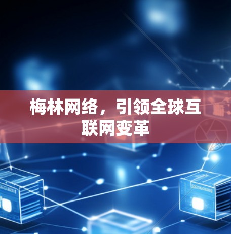 梅林网络，引领全球互联网变革