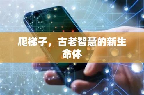 爬梯子，古老智慧的新生命体