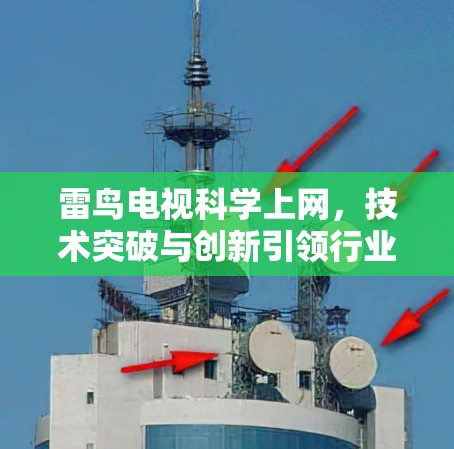 雷鸟电视科学上网，技术突破与创新引领行业未来