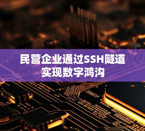 民营企业通过SSH隧道实现数字鸿沟