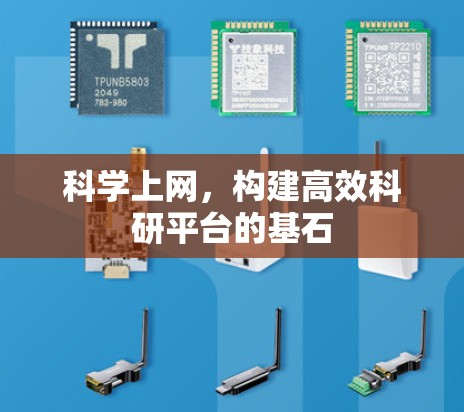 科学上网，构建高效科研平台的基石