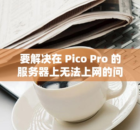 要解决在 Pico Pro 的服务器上无法上网的问题，可以按照以下步骤操作
