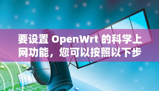 要设置 OpenWrt 的科学上网功能，您可以按照以下步骤操作