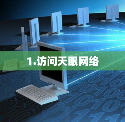 1.访问天眼网络