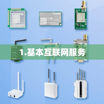 1.基本互联网服务