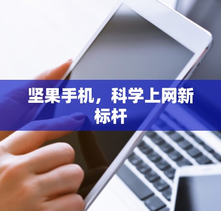 坚果手机，科学上网新标杆