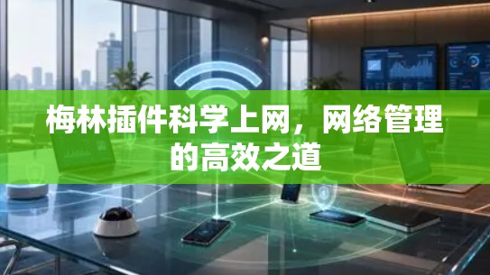 梅林插件科学上网，网络管理的高效之道