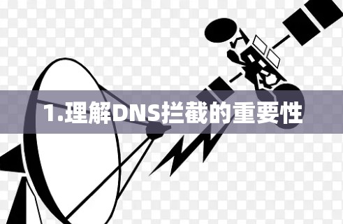 1.理解DNS拦截的重要性