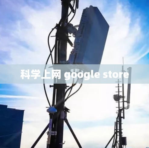科学上网 google store