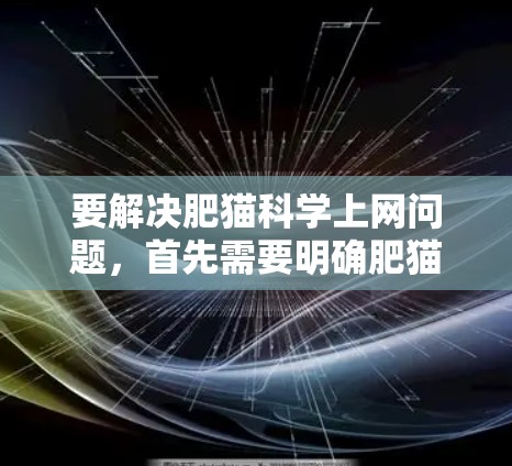 要解决肥猫科学上网问题，首先需要明确肥猫具体指的是什么，其次了解科学上网在科学领域的操作方法和注意事项，确保在科学实验中使用互联网时的隐私保护和伦理考虑。以下是一些关键步骤和建议