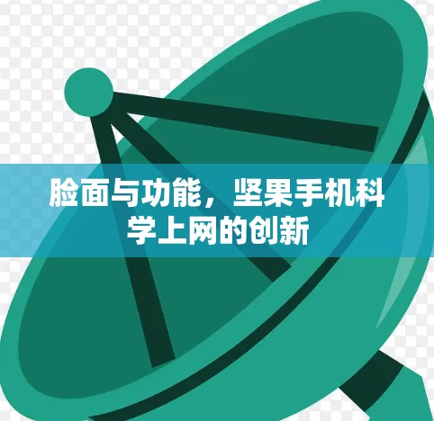 脸面与功能，坚果手机科学上网的创新