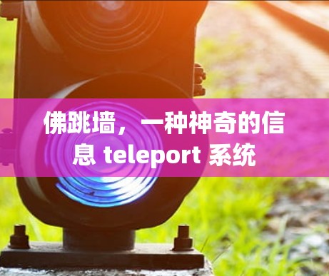 佛跳墙，一种神奇的信息 teleport 系统