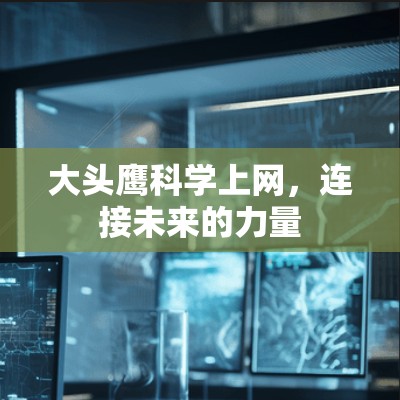 大头鹰科学上网,连接未来的力量 大头鹰科学上网,连接未来的力量