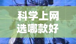 科学上网选哪款好？下载科学工具选哪款好