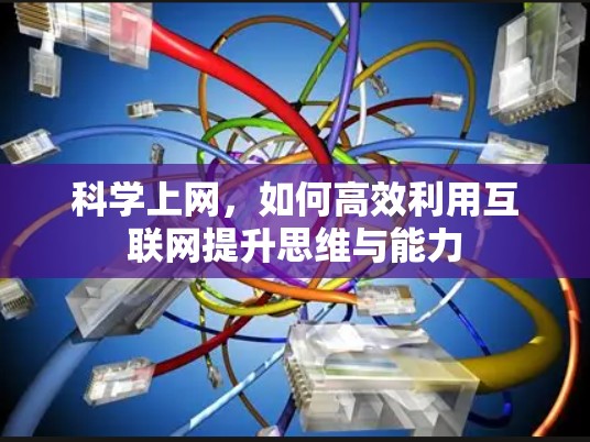 科学上网，如何高效利用互联网提升思维与能力
