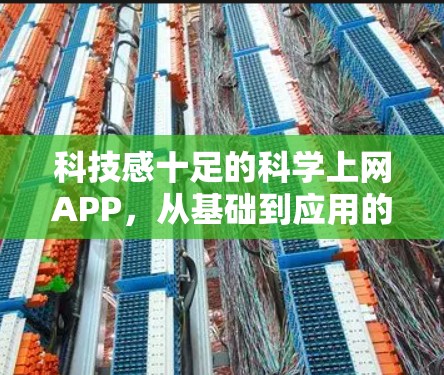 科技感十足的科学上网APP，从基础到应用的全面体验