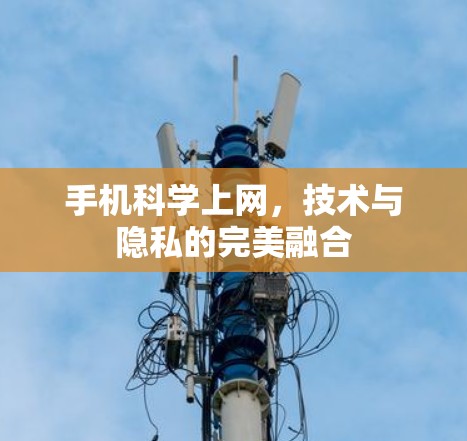 手机科学上网,技术与隐私的完美融合 手机科学上网,技术与隐私的完美融合