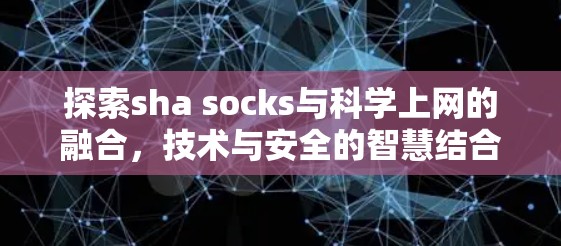探索sha socks与科学上网的融合，技术与安全的智慧结合