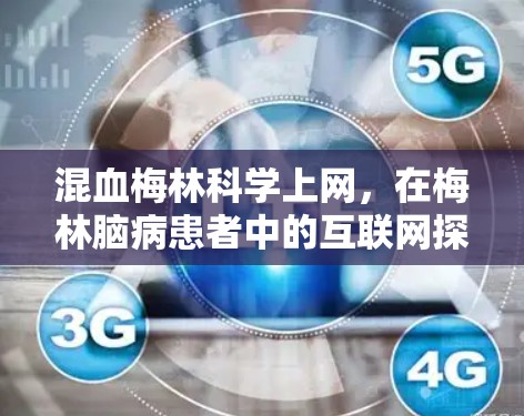 混血梅林科学上网，在梅林脑病患者中的互联网探索