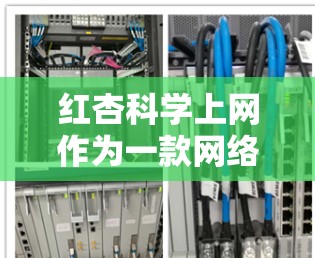 红杏科学上网作为一款网络服务，适合不同用户群体，具体适合哪些人群和需求需要综合考虑。以下是基于上述思考整理出来的最终建议