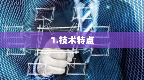1.技术特点 1.技术特点