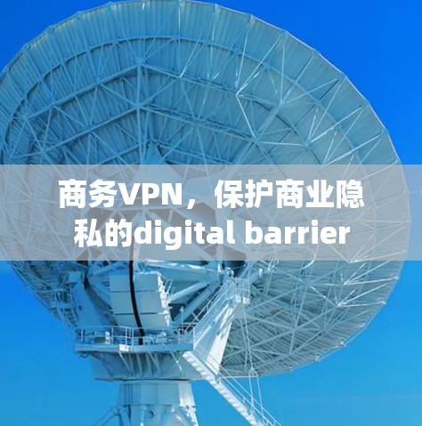 商务VPN,保护商业隐私的digital barrier 商务VPN,保护商业隐私的digital barrier