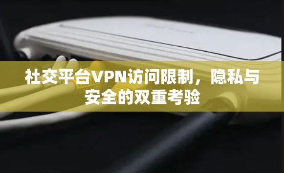 社交平台VPN访问限制,隐私与安全的双重考验 社交平台VPN访问限制,隐私与安全的双重考验
