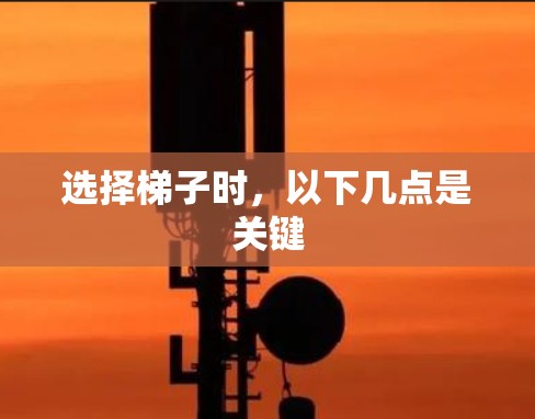 选择梯子时,以下几点是关键 选择梯子时,以下几点是关键