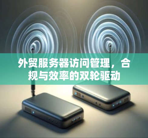 外贸服务器访问管理,合规与效率的双轮驱动 外贸服务器访问管理,合规与效率的双轮驱动
