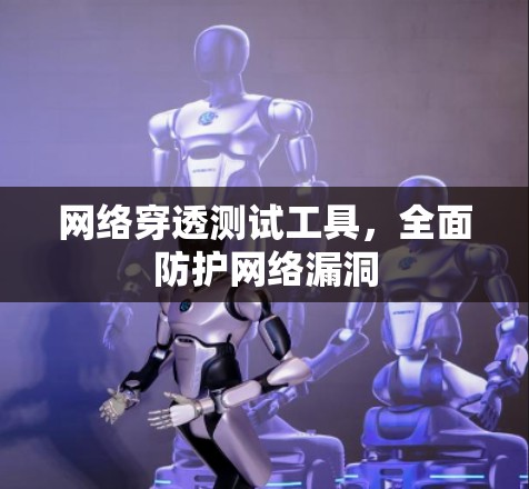 网络穿透测试工具,全面防护网络漏洞 网络穿透测试工具,全面防护网络漏洞