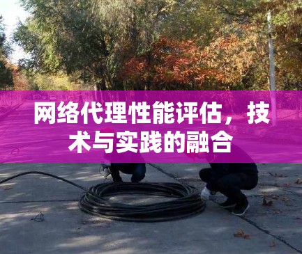 网络代理性能评估,技术与实践的融合 网络代理性能评估,技术与实践的融合