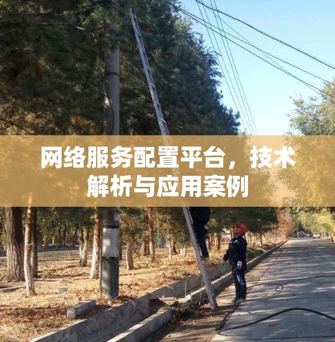 网络服务配置平台,技术解析与应用案例 网络服务配置平台,技术解析与应用案例