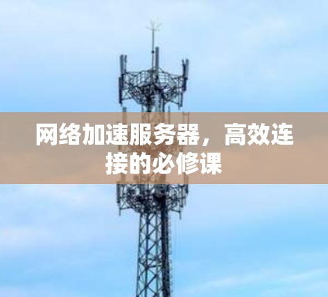 网络加速服务器,高效连接的必修课 网络加速服务器,高效连接的必修课