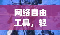 网络自由工具,轻松网络管理指南 网络自由工具,轻松网络管理指南