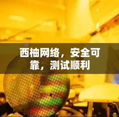 西柚网络,安全可靠,测试顺利 西柚网络,安全可靠,测试顺利