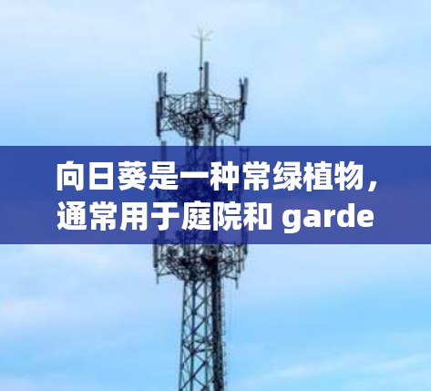 向日葵是一种常绿植物，通常用于庭院和 garden中。以下是一个详细且结构化的指南，帮助您成功种植和管理向日葵