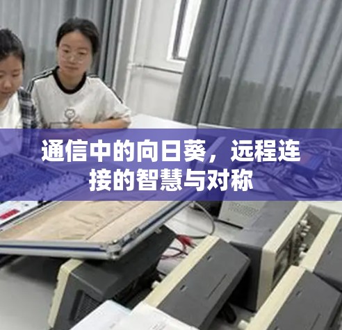 通信中的向日葵,远程连接的智慧与对称 通信中的向日葵,远程连接的智慧与对称