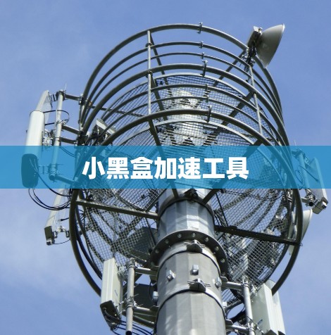 小黑盒加速工具 小黑盒加速工具