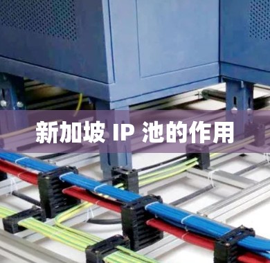 新加坡 IP 池的作用 新加坡 IP 池的作用