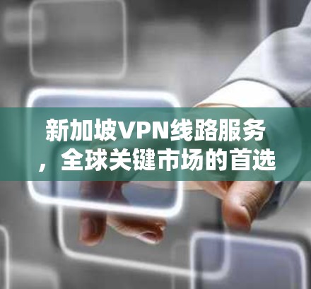 新加坡VPN线路服务,全球关键市场的首选解决方案 新加坡VPN线路服务,全球关键市场的首选解决方案