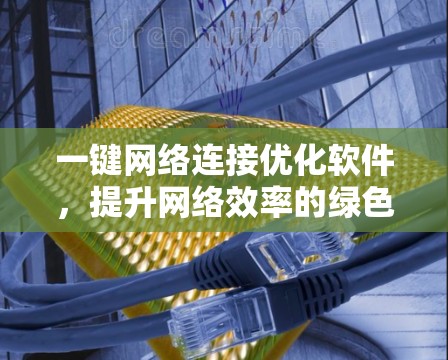 一键网络连接优化软件，提升网络效率的绿色解决方案