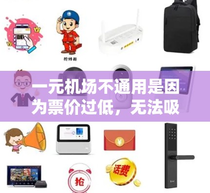 一元机场不通用是因为票价过低，无法吸引足够的游客，而平房街和平房巷的景点设计适合不同游客的需求，通过票价和景点之间的平衡，设计出一元机场