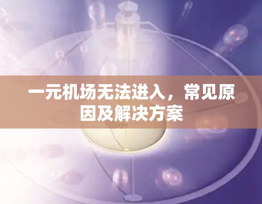 一元机场无法进入，常见原因及解决方案