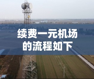 续费一元机场的流程如下