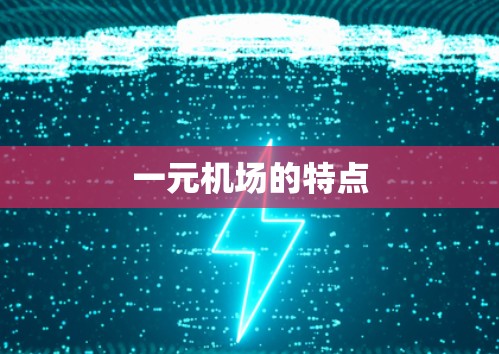 一元机场的特点